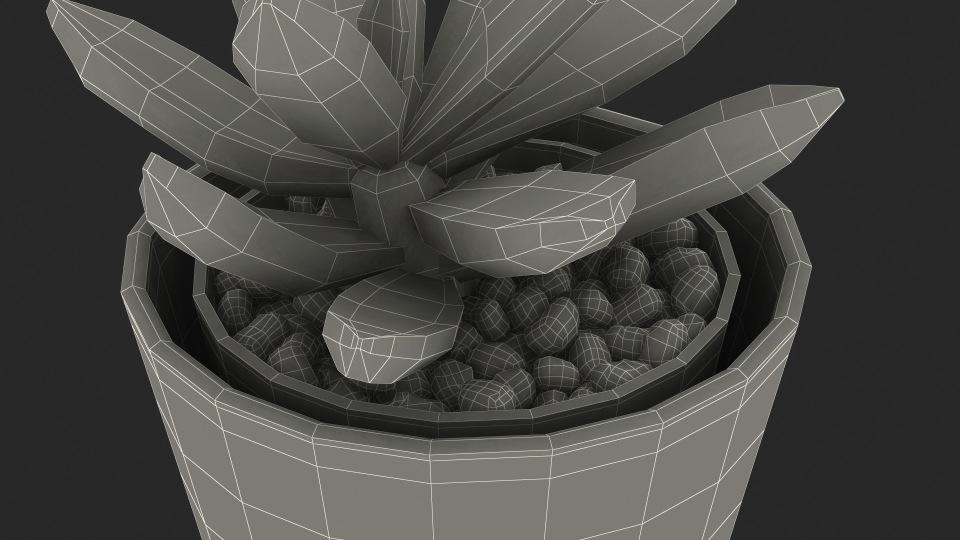 Decorative Indoor Plant model https://p.turbosquid.com/ts-thumb/OW/53fjlq/o5/decorativeindoorplant3dmodel015/jpg/1662686729/1920x1080/fit_q87/321d2e078bcc9989b9698f6bcae5cd4c394ac968/decorativeindoorplant3dmodel015.jpg