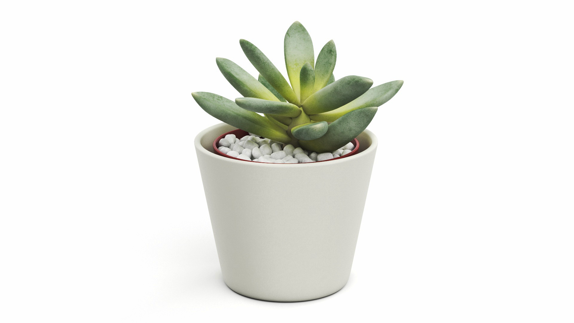 Decorative Indoor Plant model https://p.turbosquid.com/ts-thumb/OW/53fjlq/oz/decorative_indoor_plant_360/jpg/1662686362/1920x1080/turn_fit_q99/6a62b3b6868ef4c091f54b13a1562b94633d804b/decorative_indoor_plant_360-1.jpg