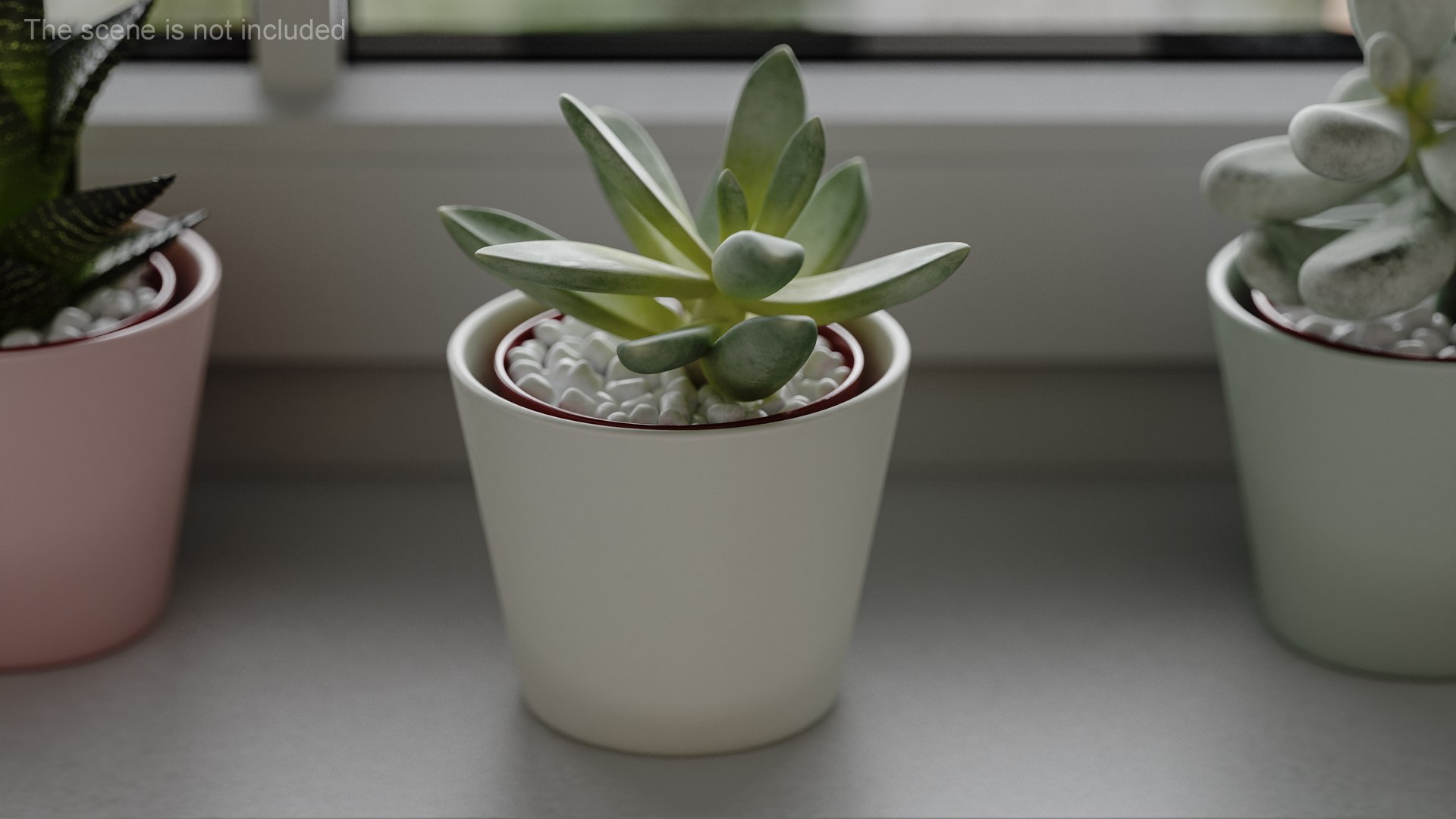 Decorative Indoor Plant model https://p.turbosquid.com/ts-thumb/OW/53fjlq/tj/decorativeindoorplant3dmodel002/jpg/1662686686/1920x1080/fit_q87/d19ffb6c1bd8c12dfc6ef7c106a1ccd14d872605/decorativeindoorplant3dmodel002.jpg