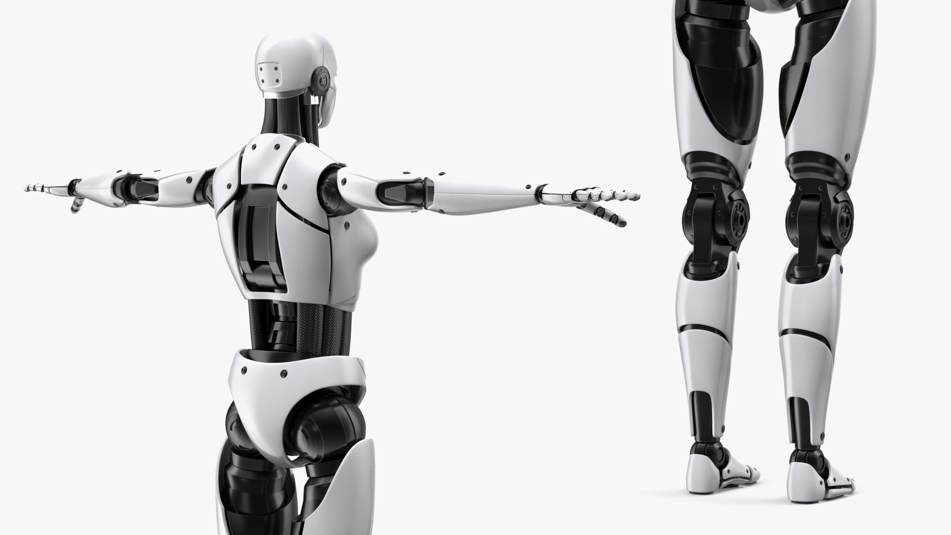 Cyborg Female T-Pose 3D model https://p.turbosquid.com/ts-thumb/OW/Bc4Rw0/gX/cyborgfemaletposemb3dmodel010/jpg/1689339325/1920x1080/fit_q87/230a80b895b58a8f66eb88fd5a33ae99c666ad2a/cyborgfemaletposemb3dmodel010.jpg