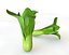 Bok Choy