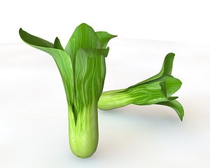 Bok Choy