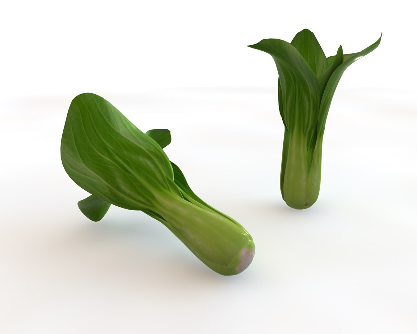 choy model https://p.turbosquid.com/ts-thumb/OW/DlNGO1/ppOkary4/3/jpg/1587300675/1920x1080/fit_q87/6b11085492615eb5098c752272edc0848e7627e5/3.jpg