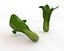 Bok Choy