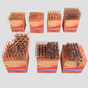 epithelial cell changes normal to cancer