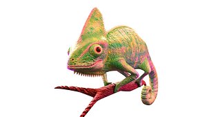 Chameleon