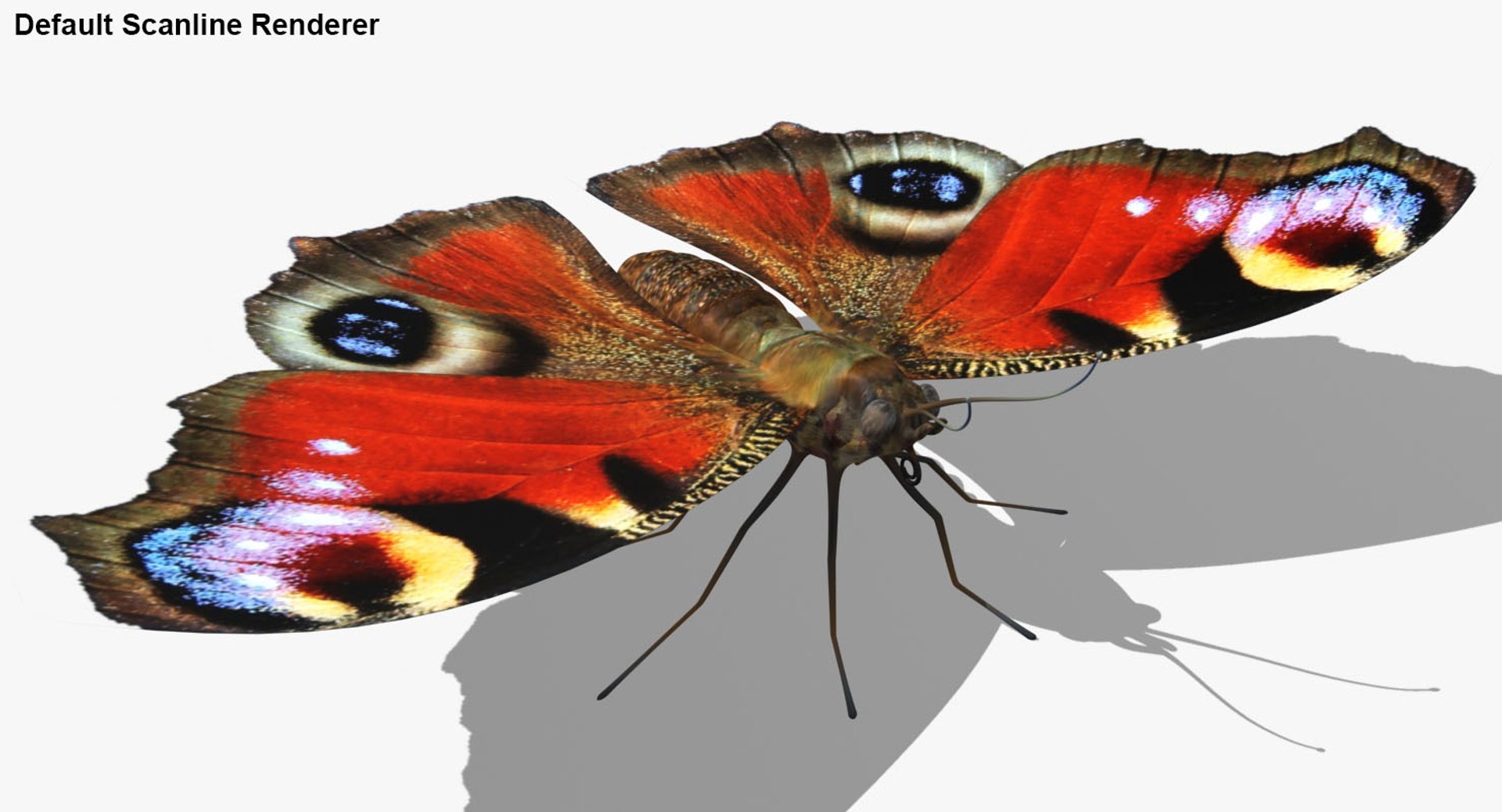 3D realistic peacock butterfly model - TurboSquid 1269956