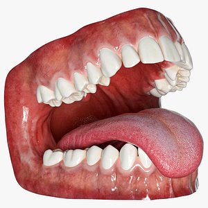 Human Mouth With Tongue Rigged