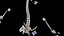 Female Anatomy Body Skeleton and Ligaments Systems
