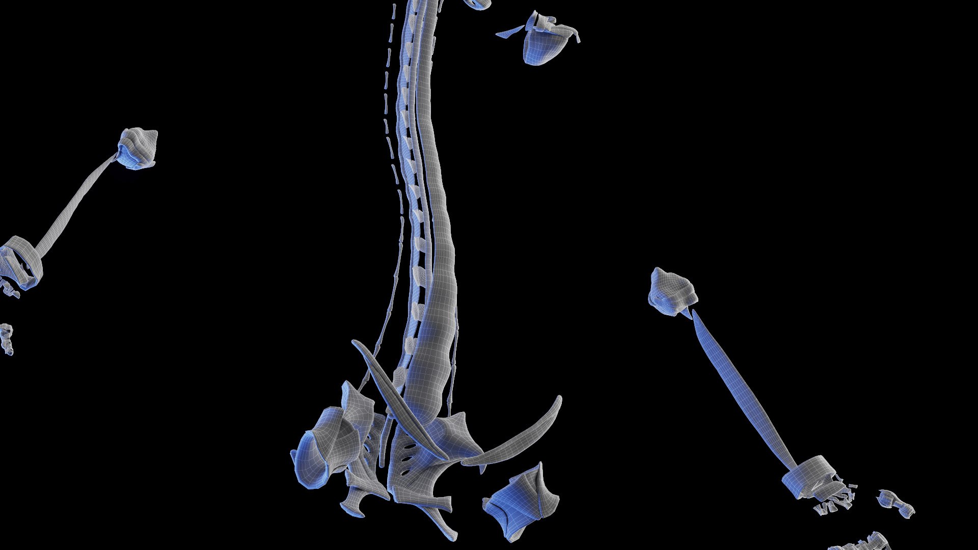 3D model Female Anatomy Body Skeleton and Ligaments Systems https://p.turbosquid.com/ts-thumb/OW/fwaic1/Ej/female_anatomy_ligaments_wire_02/jpg/1672857466/1920x1080/fit_q87/6aad67438edbf9c51fe876456867555fb9042e89/female_anatomy_ligaments_wire_02.jpg