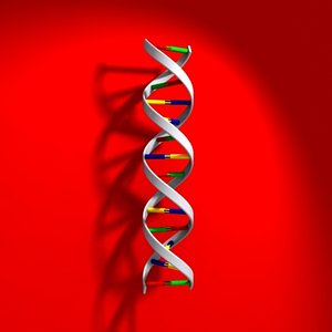 dna strand 3d model
