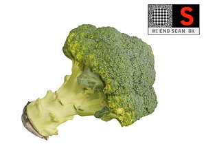 3d model broccoli 8k