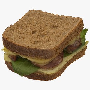 Whole Wheat Salami Sandwich 01 RAW SCan model