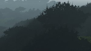 low poly forest