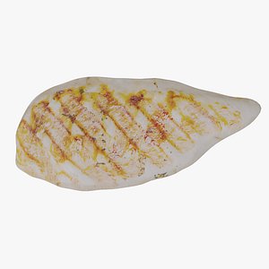 Grilled Chicken 2