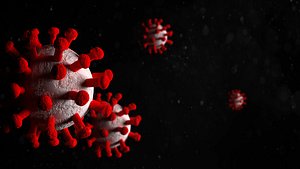 coronavirus virus model
