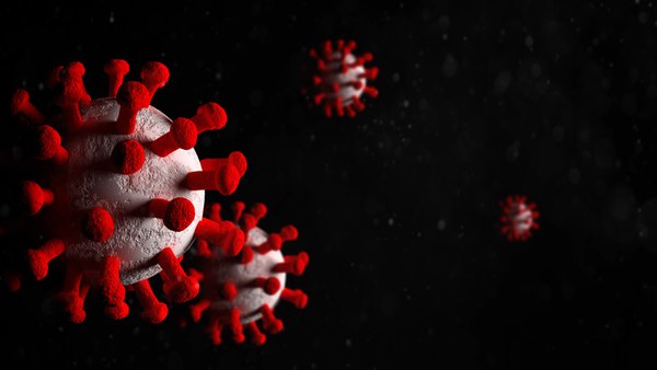 coronavirus virus model