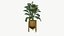 Plant Realistic Interior