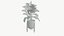 Plant Realistic Interior