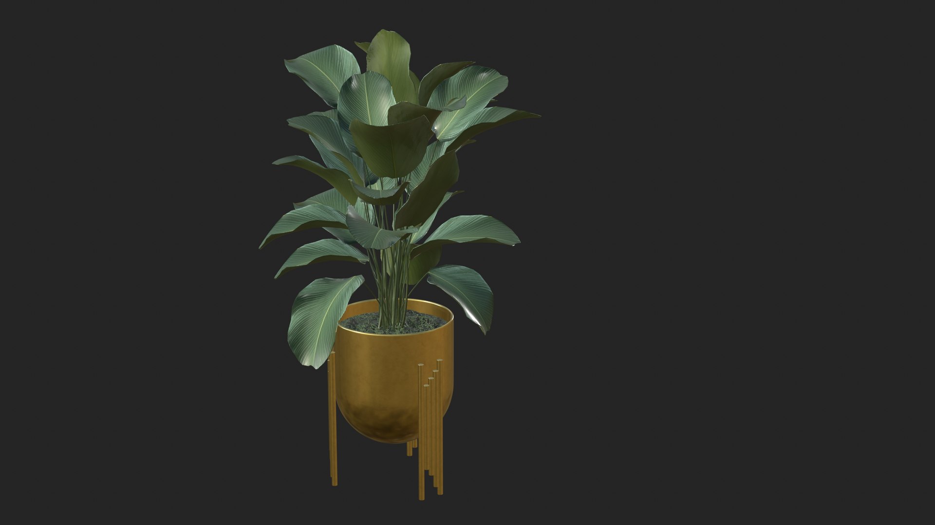 3D Plant Realistic Interior https://p.turbosquid.com/ts-thumb/OX/o1C4iF/T5/plant_5/jpg/1704634299/1920x1080/fit_q87/c81922ac778ca8d8ed81ddd6a02e543a6285d5ed/plant_5.jpg