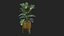Plant Realistic Interior