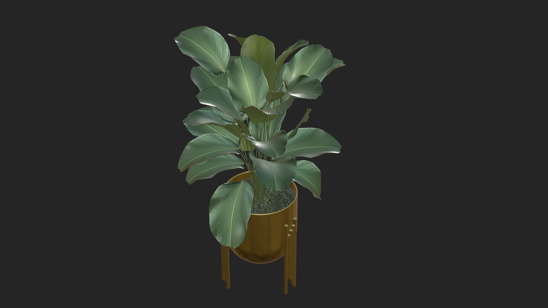 3D Plant Realistic Interior https://p.turbosquid.com/ts-thumb/OX/o1C4iF/WY/plant_6/jpg/1704634297/1920x1080/fit_q87/178031370f30f7fcda93928de1bfa8ed19202288/plant_6.jpg