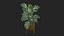 Plant Realistic Interior