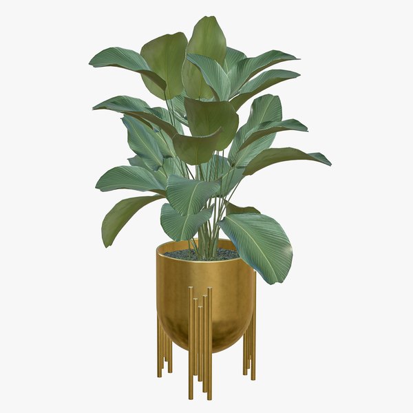 3D Plant Realistic Interior