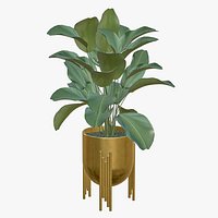 Plant Realistic Interior