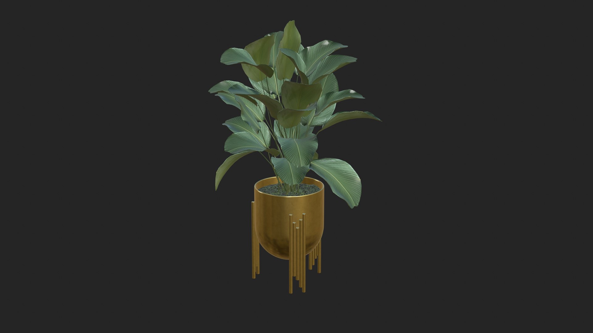 3D Plant Realistic Interior https://p.turbosquid.com/ts-thumb/OX/o1C4iF/hE/plant_4/jpg/1704634299/1920x1080/fit_q87/275f9de575237d37b135f54b1b18c5669cfdfd44/plant_4.jpg