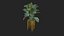 Plant Realistic Interior
