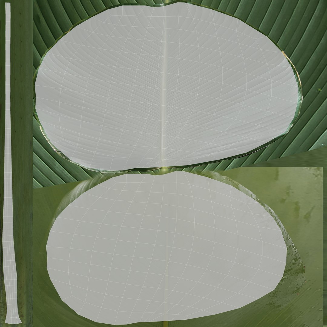 3D Plant Realistic Interior https://p.turbosquid.com/ts-thumb/OX/o1C4iF/rW/uv4/jpg/1704634735/1920x1080/fit_q87/5db73f566c6018b1b540ab3ab6e190ddf24fb0d8/uv4.jpg