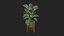 Plant Realistic Interior