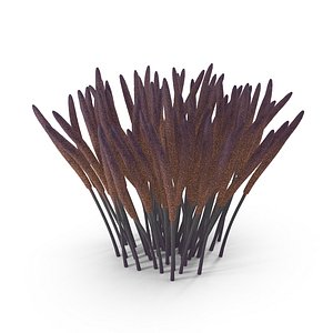 Myxomycetes mushrooms 3D