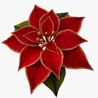 christmas flower