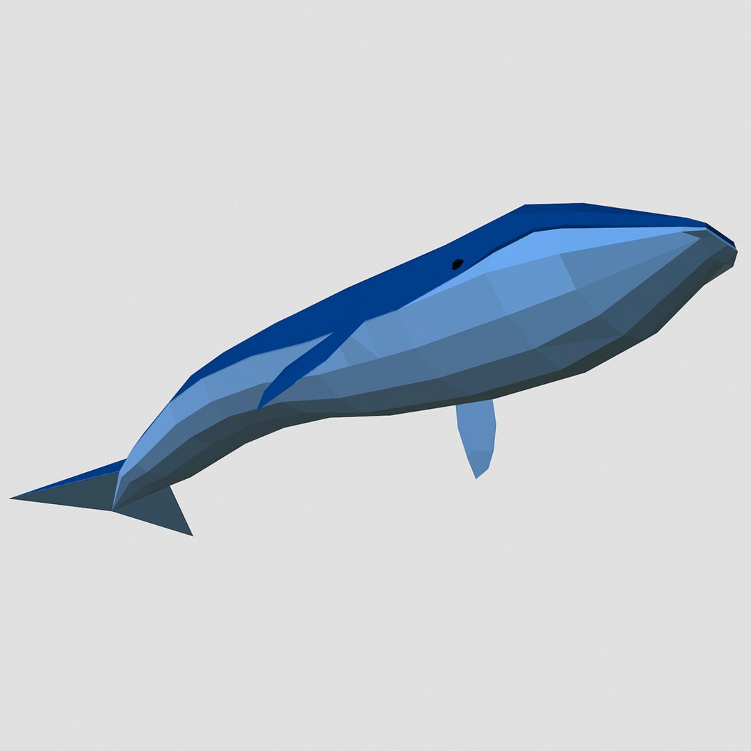 3D style pack animals simple model https://p.turbosquid.com/ts-thumb/OY/5Sg5Uz/AAGWMK41/whale3/png/1549714443/1920x1080/fit_q87/08bba234a502f21035bfef3c97d8248532fa96b5/whale3.jpg