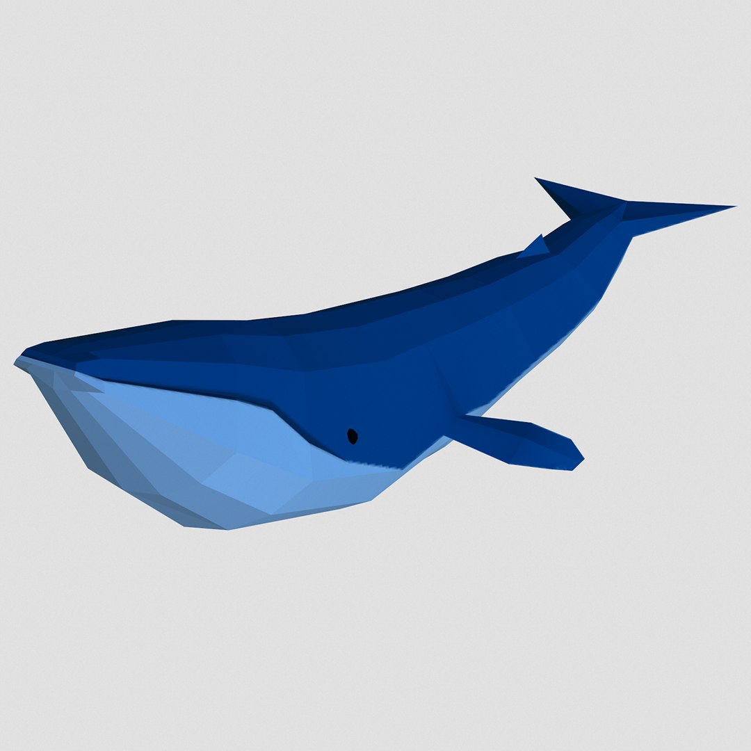 3D style pack animals simple model https://p.turbosquid.com/ts-thumb/OY/5Sg5Uz/etXA3rEe/whale2/png/1549714431/1920x1080/fit_q87/84cae15c1a6482e8f1765dd081c81cf33f554098/whale2.jpg