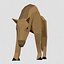 LOW POLY  ANIMALS