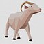 LOW POLY  ANIMALS