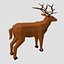 LOW POLY  ANIMALS