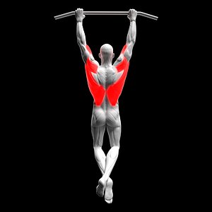 Pull Ups
