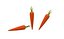 Prop40 Carrot