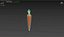 Prop40 Carrot