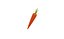 Prop40 Carrot