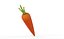 Prop40 Carrot