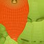 Prop40 Carrot