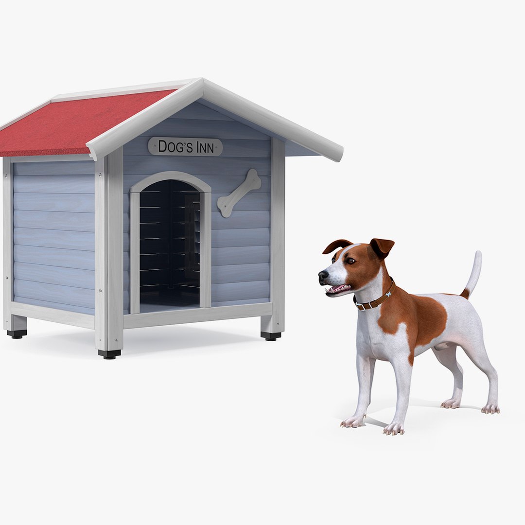 Jack Russell Terrier with Dog House Collection 3D model preview