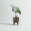 Monstera Plant