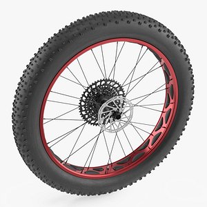 3D Fat Bike Wheel model