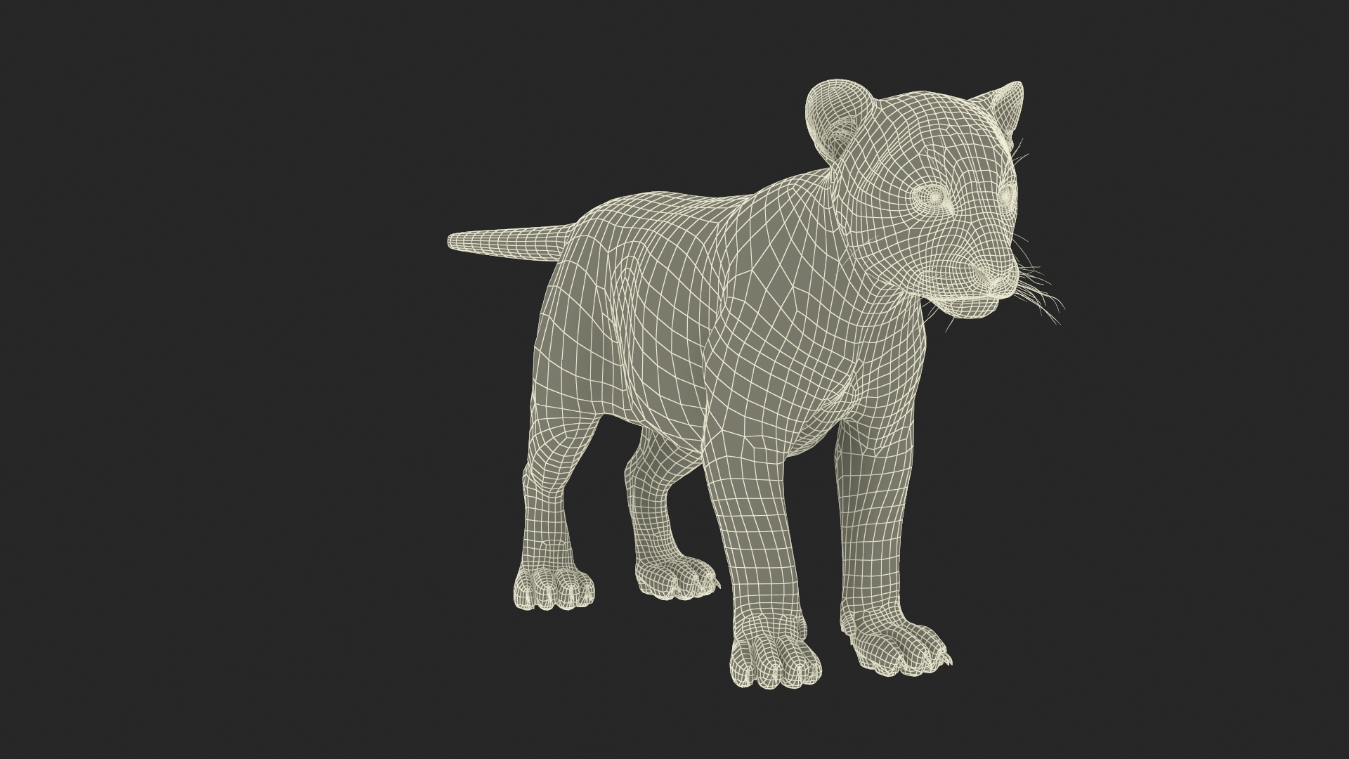 3D Tiger Cub Fur Rigged Model - TurboSquid 2342426
